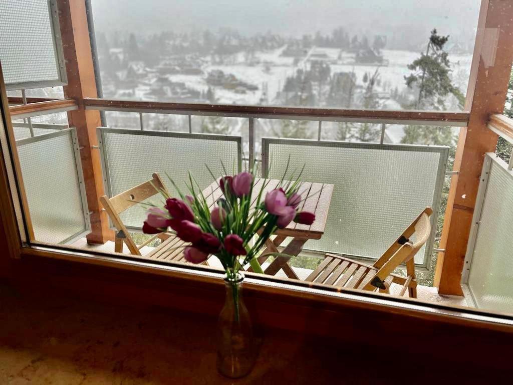 Apartament Pogodny Apartamentyzakopianskie Basen Sauna Jacuzzi Zakopane Exteriör bild